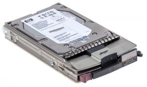 Hewlett Packard Enterprise StorageWorks EVA 300GB 15K FC Add on HDD 300GB Fibre Channel internal hard drive